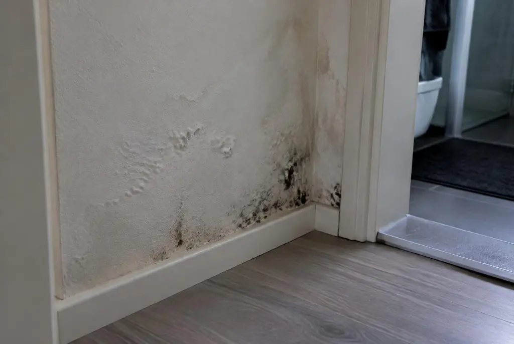 Lekdetectie Veenendaal – vochtplek met schimmel op een muur